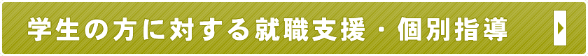 学生の方に対する就職支援・個別指導
